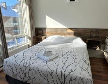Queen Room with Lake View