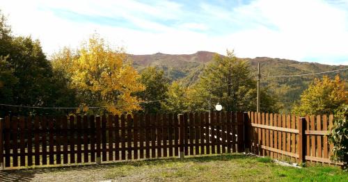 Studio with Mountain View