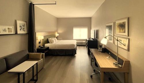 One-Bedroom Suite