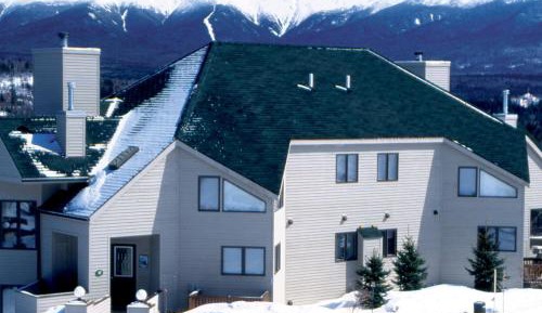 Traditional Townhome 4 Bedroom Forest Cottage