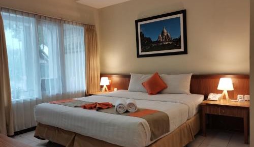 Deluxe Double or Twin Room