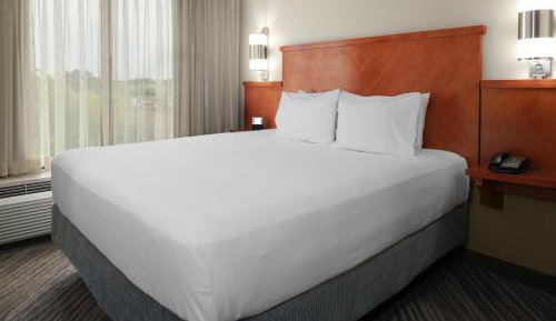Specialty King Room with Sofa Bed