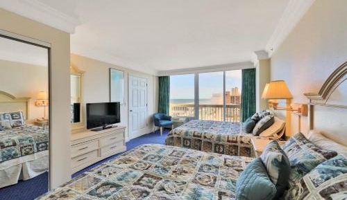 One Bedroom Apartment