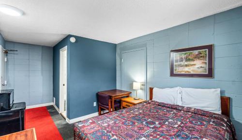 Budget Single Room