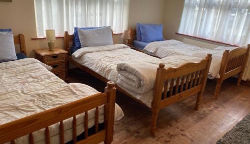 Bed in 6-Bed Mixed Dormitory Room