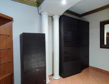 Bunk Bed in Mixed Dormitory Room