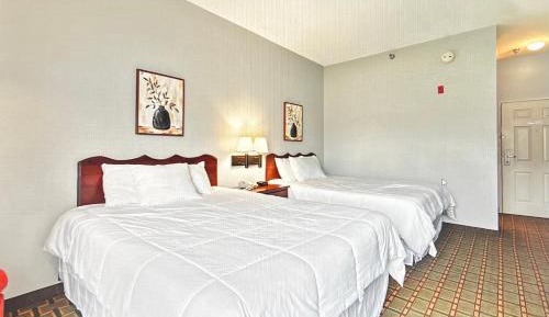 Queen Room