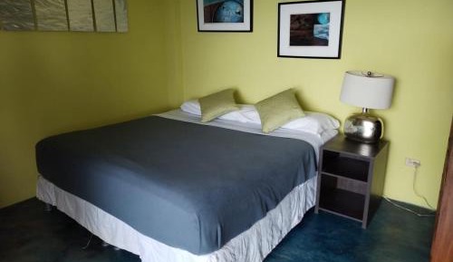 Superior Double or Twin Room with Terrace