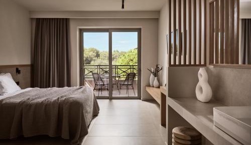 Superior Plus Room
