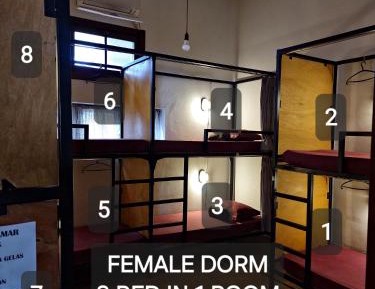 Bed in 8-Bed Dormitory Room