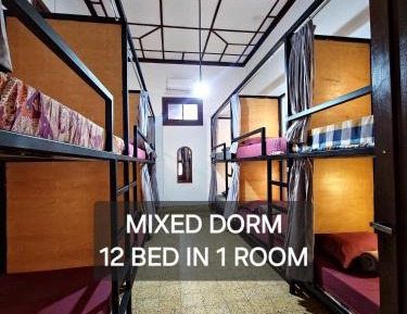 Bunk Bed in Mixed Dormitory Room