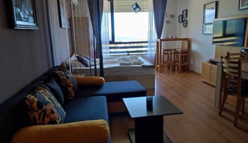 Apartment with Mountain View