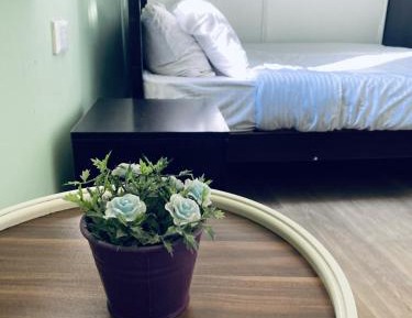 Single Bed in Dormitory Room