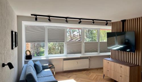 King Studio with Sofa Bed