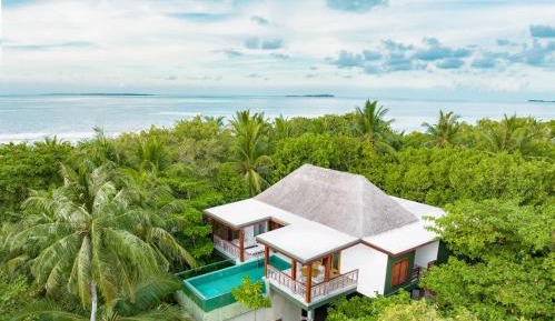 Two bedroom treetop pool villa