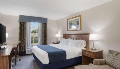 King Room