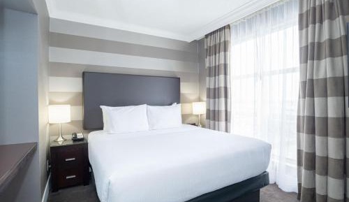 Standard Suite, 1 King Bed, Sofa Bed