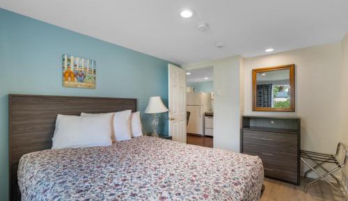 One-Bedroom Queen Suite
