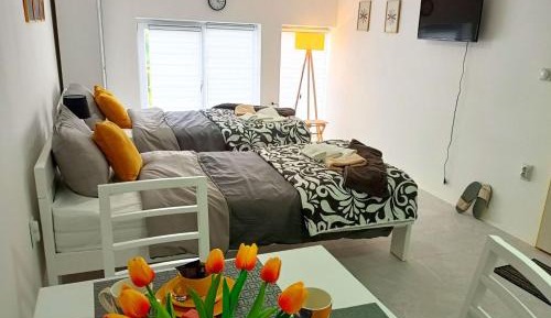 Apartment with Balcony