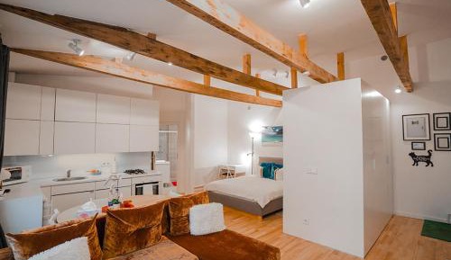 Studio with Sofa Bed