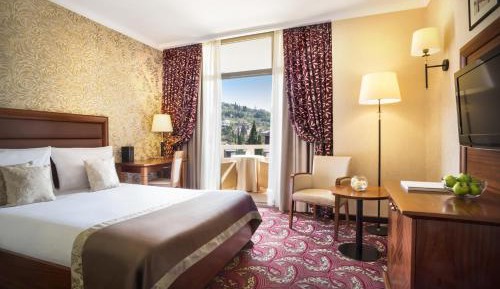 Standard Single Room with Balcony and Park View