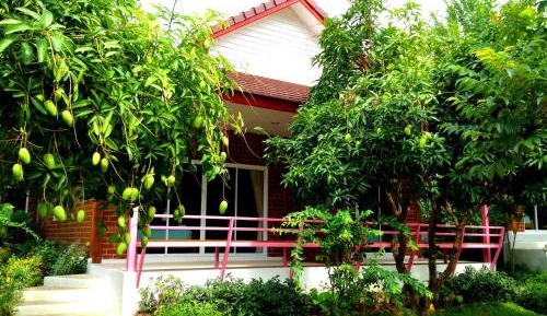Deluxe Cottage