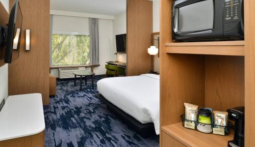 Suite, 1 King, Sofa bed