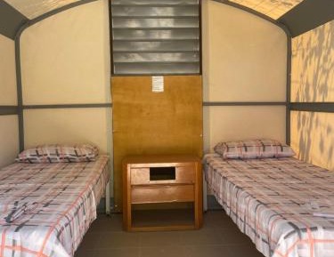 1 Bed in Shared Tent (Male)