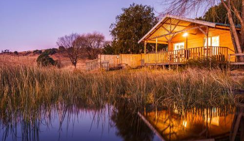 Bungalow - Water Front 