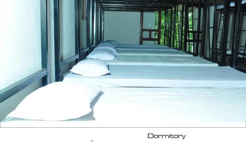 Bunk Bed in Mixed Dormitory Room