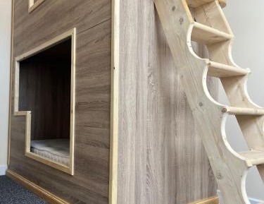 Bunk Bed in Mixed Dormitory Room