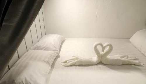 Lower Queen Bed in mixed Dormitory Room