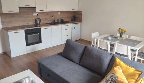 Apartment with Terrace