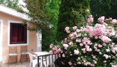 Studio with Terrace - Annex