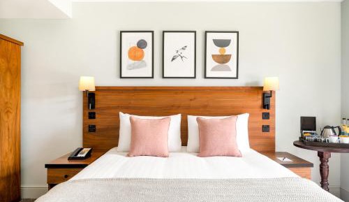 Premium Queen Room