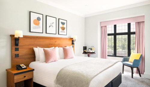 One-Bedroom Queen Suite -Non-Smoking