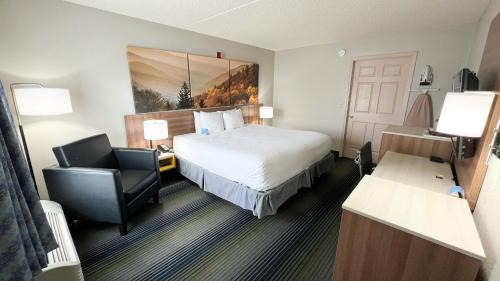 King Room - Disability Access/Non-Smoking
