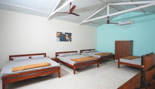 Single Bed in 4-Bed Dormitory Room