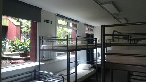 Bed in 10-Bed Mixed Dormitory Room