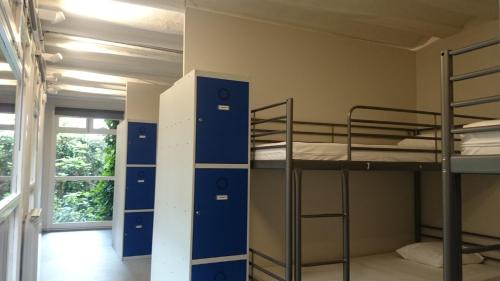 Bed in 14-Bed Mixed Dormitory Room (Cabin)