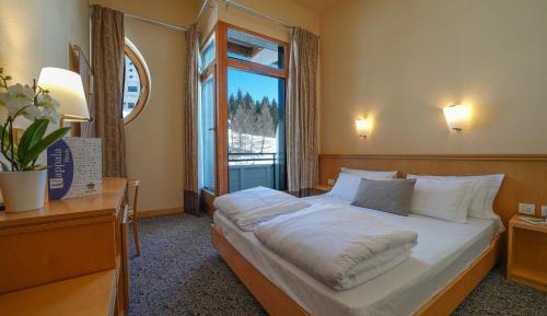 Double or Twin Room with Mountain View