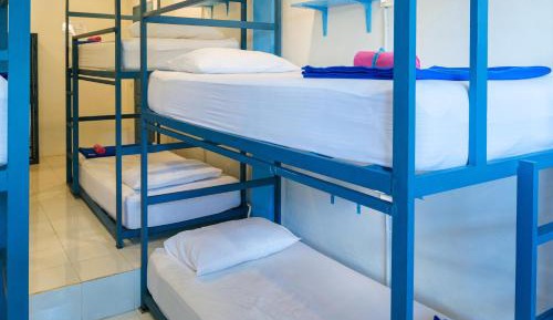 Bunk Bed in Mixed Dormitory Room