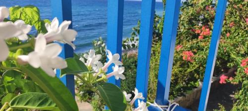 One-Bedroom Apartment with Sea and Garden View