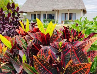 Deluxe Bungalow with Garden View