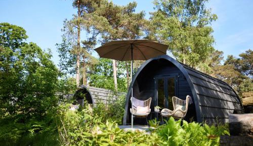 One-Bedroom Chalet