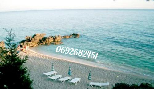 Bungalow - Beach Front