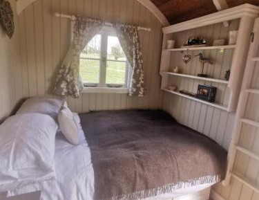 Double or Twin Room with View