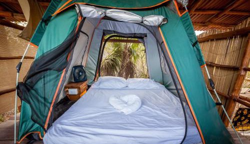 Tent