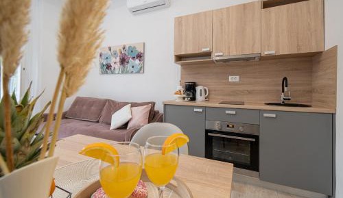 Deluxe One-Bedroom Apartment