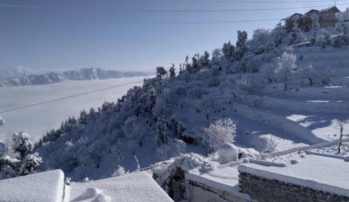 Double Room with Mountain View